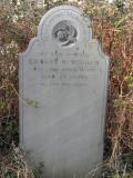 image of grave number 294809